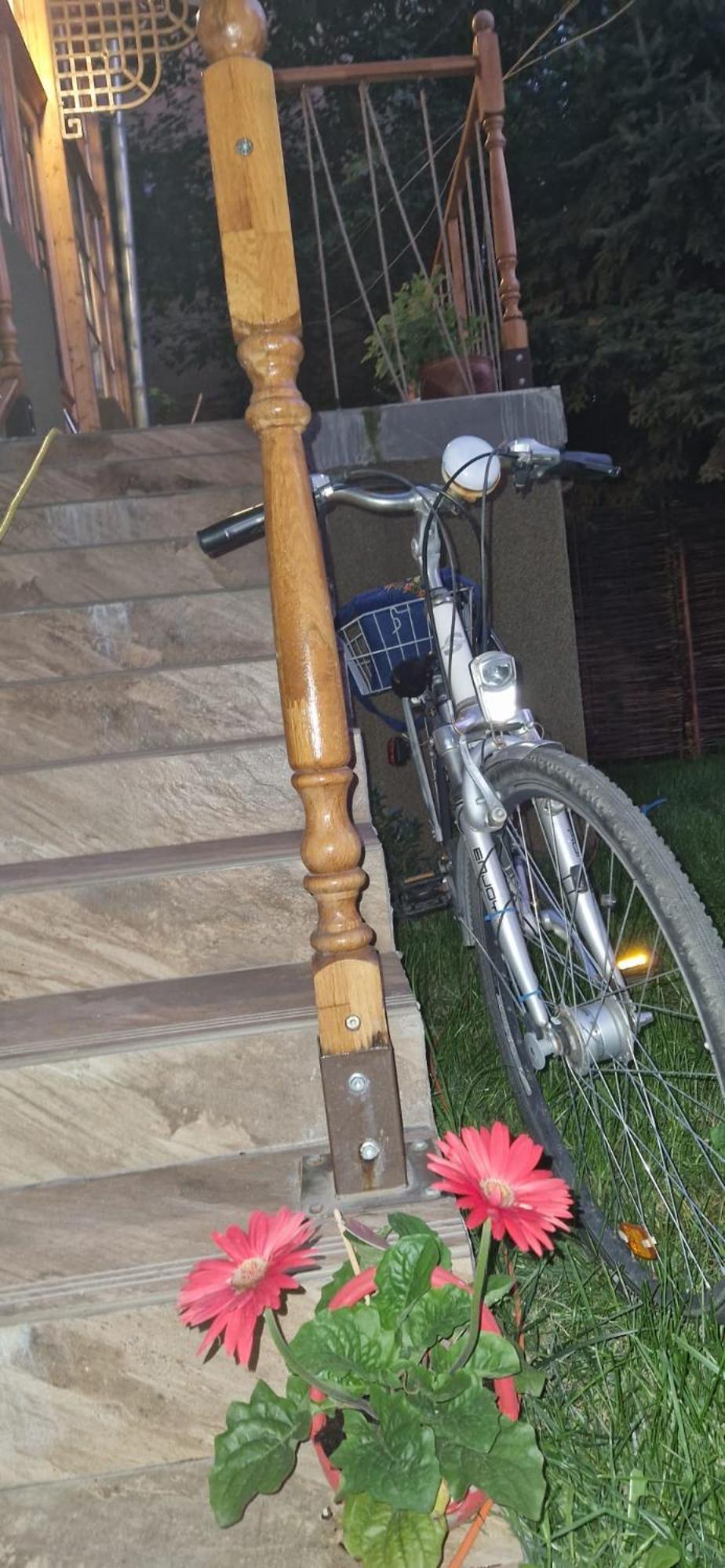 Branko'S Residence Τιμισοάρα Εξωτερικό φωτογραφία
